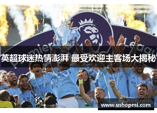 英超球迷热情澎湃 最受欢迎主客场大揭秘