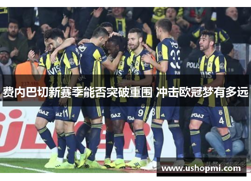 费内巴切新赛季能否突破重围 冲击欧冠梦有多远