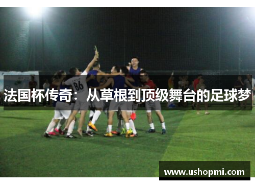 法国杯传奇：从草根到顶级舞台的足球梦