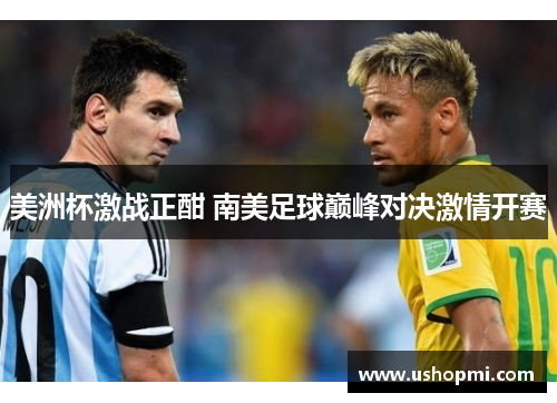 美洲杯激战正酣 南美足球巅峰对决激情开赛