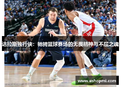 达拉斯独行侠：驰骋篮球赛场的无畏精神与不屈之魂
