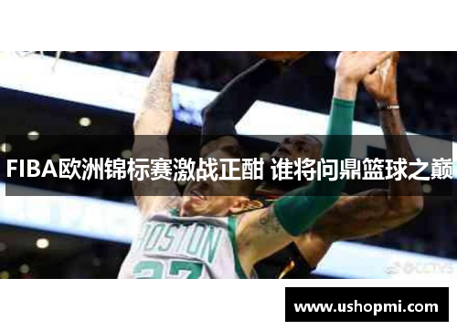 FIBA欧洲锦标赛激战正酣 谁将问鼎篮球之巅