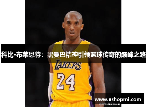 科比·布莱恩特：黑曼巴精神引领篮球传奇的巅峰之路