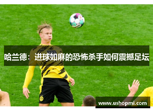 哈兰德：进球如麻的恐怖杀手如何震撼足坛