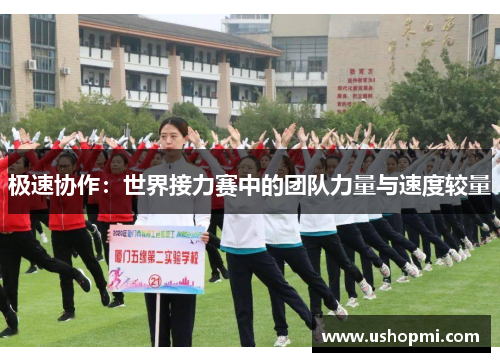 极速协作：世界接力赛中的团队力量与速度较量