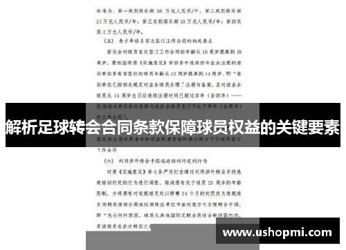 解析足球转会合同条款保障球员权益的关键要素