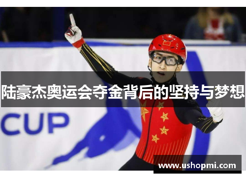 陆豪杰奥运会夺金背后的坚持与梦想